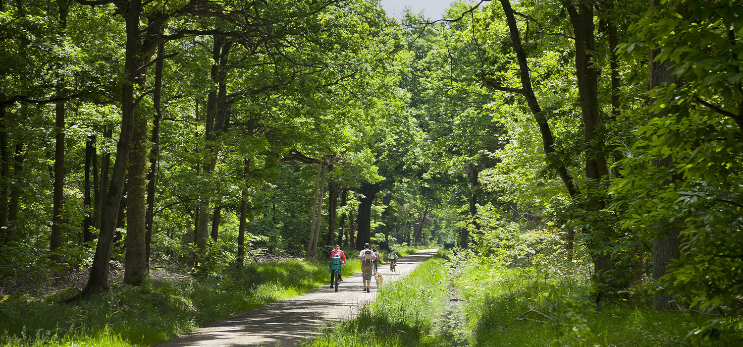 La vallée de l'Éclimont